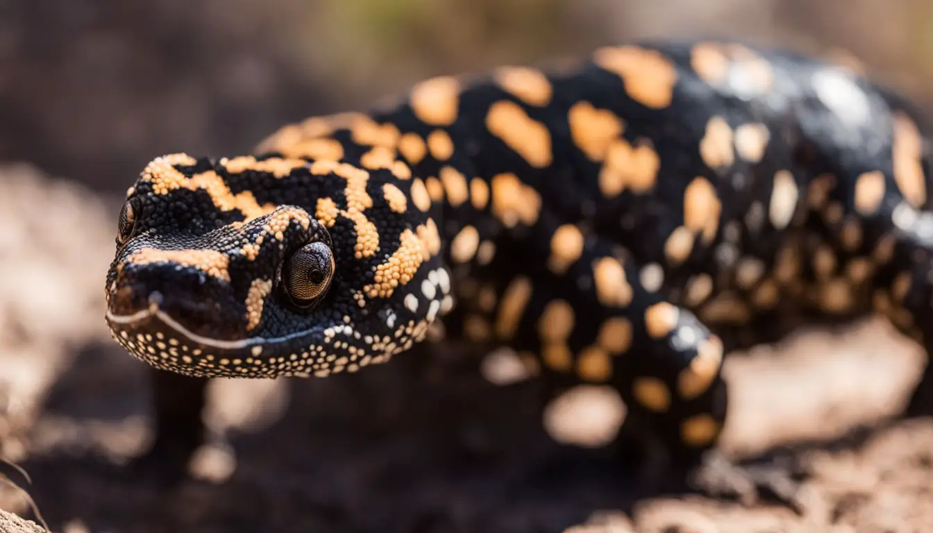 A close-up photo of a Gila monster in its natural habitat, showcasing different faces, hair styles, and outfits.