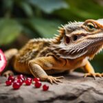 can bearded dragons eat pomegranate